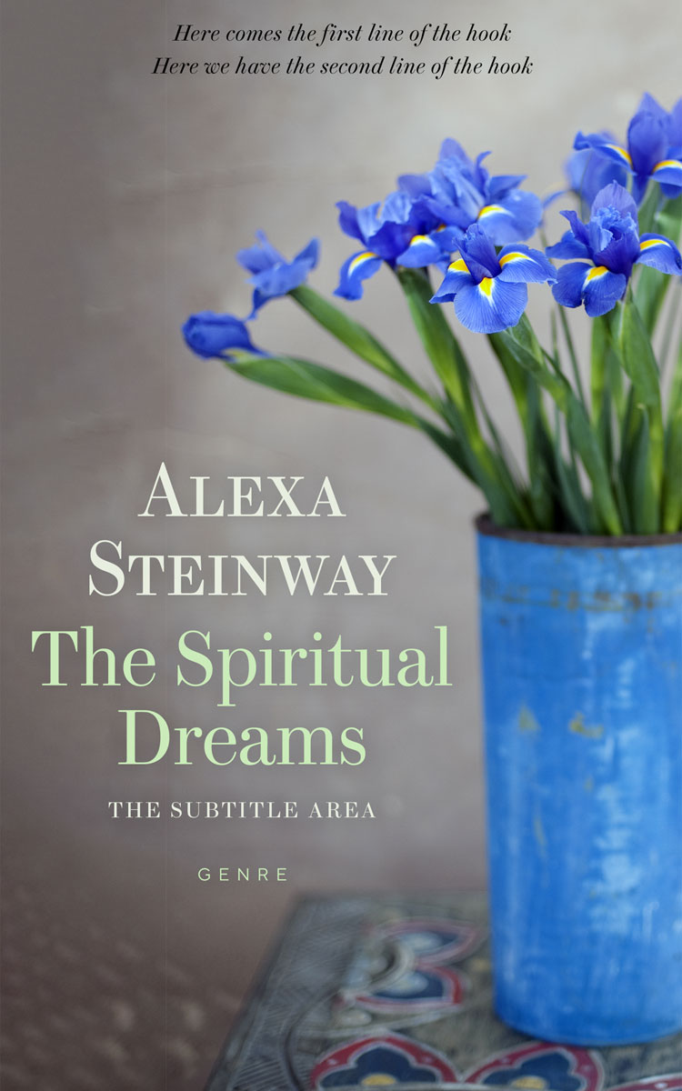 2D view of Rolling Stone #22233 - Premade Literary Fiction Book Cover