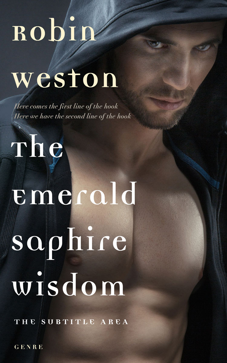 2D view of Thunder #22463 - Premade Erotica Book Cover