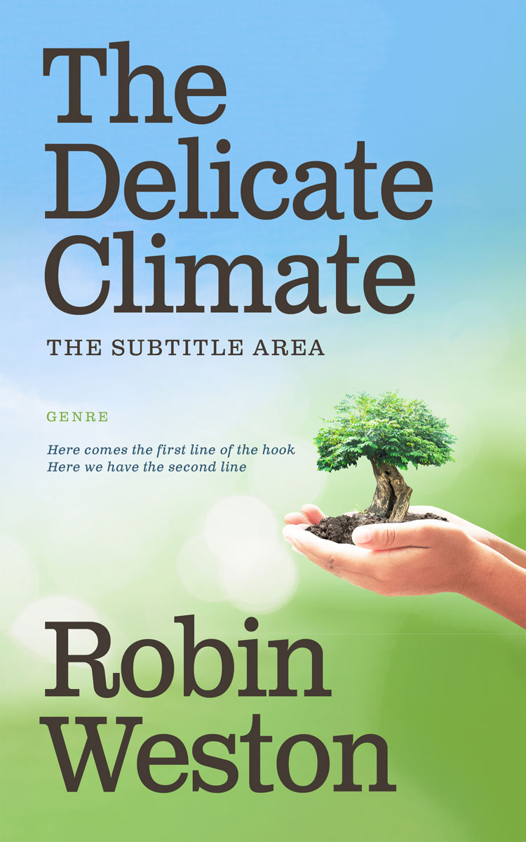 2D view of Ziggurat #22633 - Premade Science & Nature Book Cover