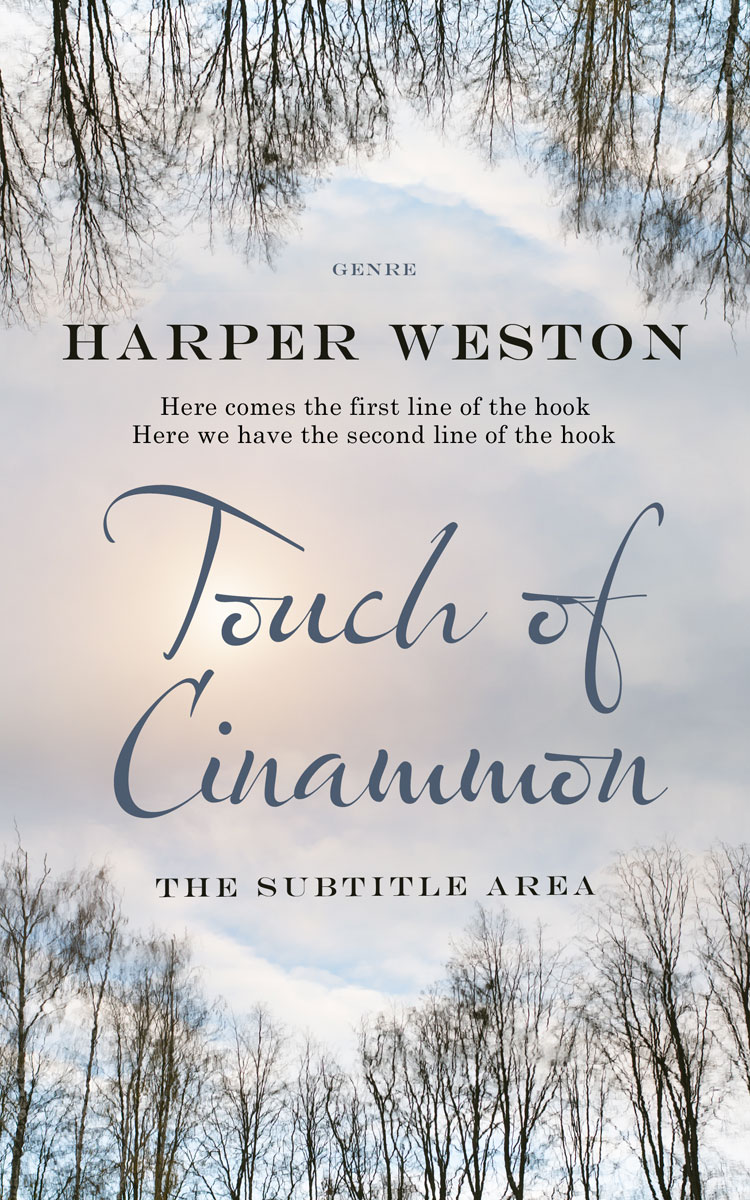 2D view of Pale Slate #22872 - Premade Abstract Book Cover