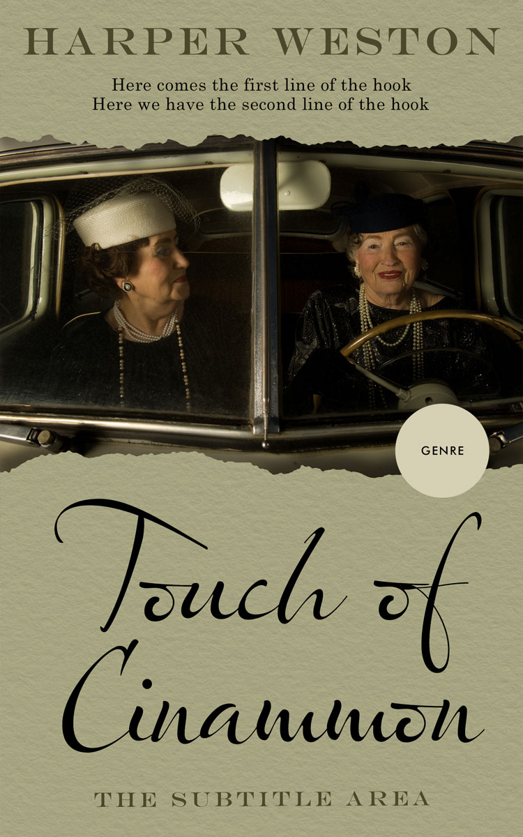 2D view of Hillary #22893 - Premade Literary Fiction Book Cover