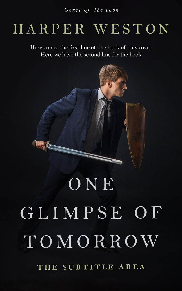 2D view of Woodsmoke #22938 - Premade Business Book Cover