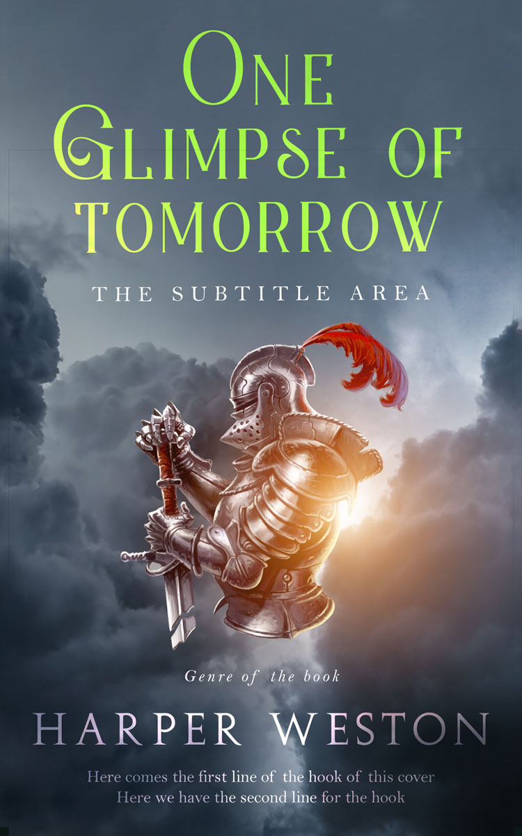 2D view of Shuttle Gray #22960 - Premade Historical Book Cover