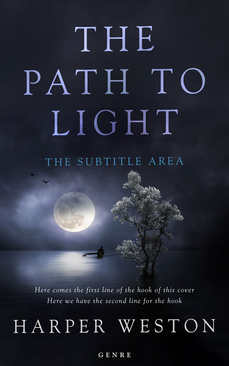 2D view of Premade Fantasy Book Cover - Steel Gray