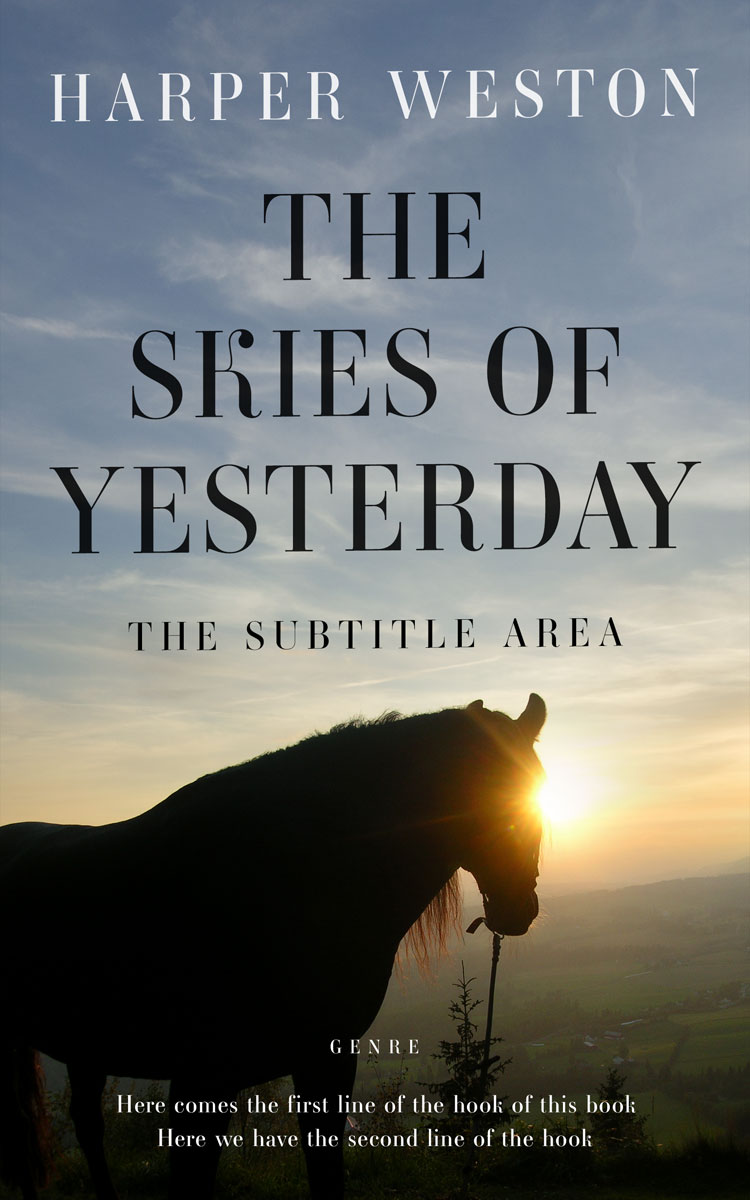 2D view of Premade Western Book Cover - Regent Gray