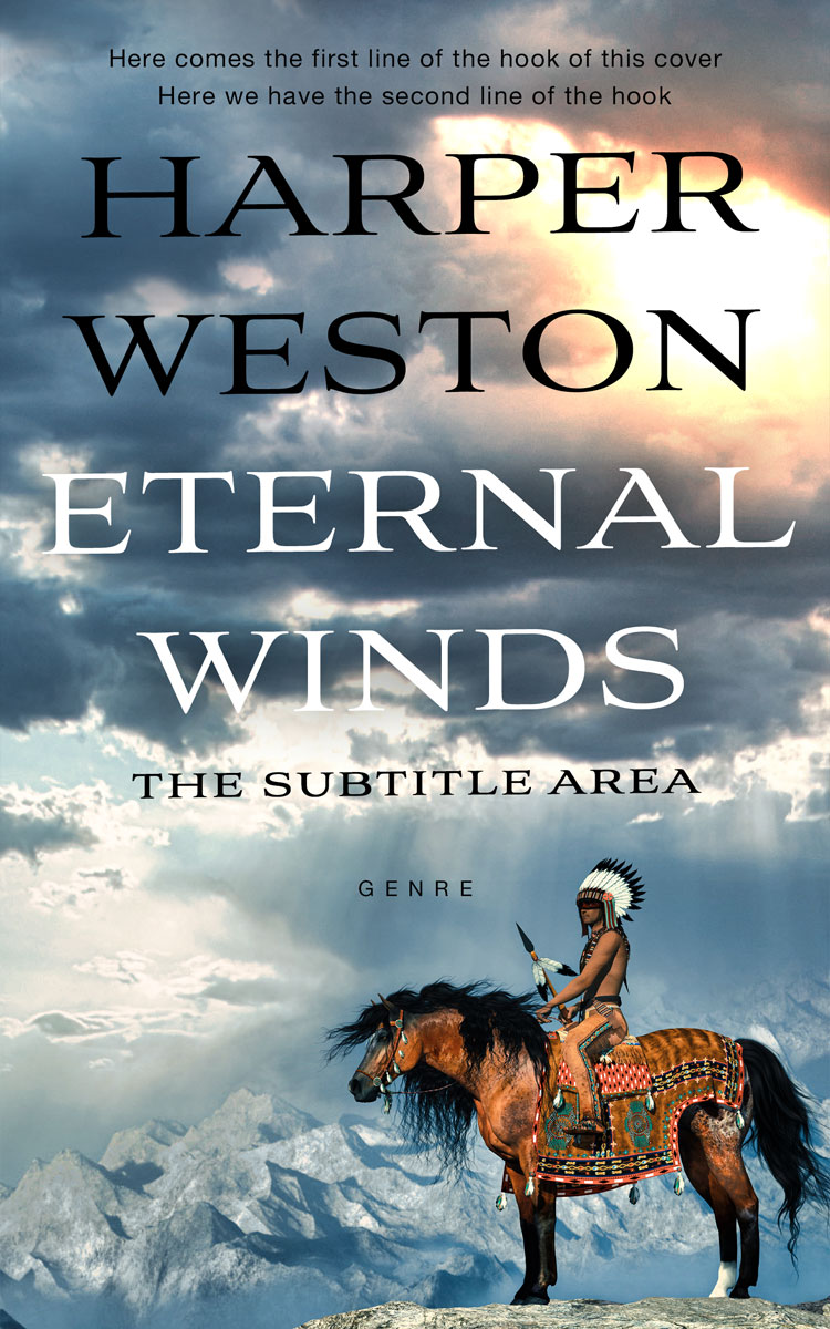 2D view of Slate Gray #23335 - Premade Historical Book Cover