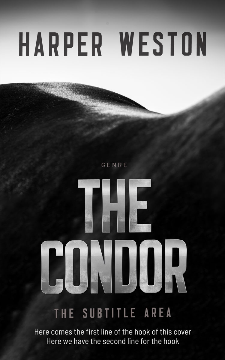 2D view of Cod Gray #23482 - Premade Western Book Cover