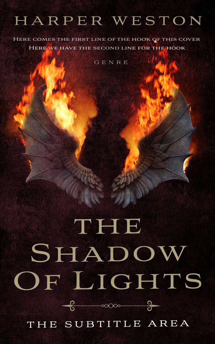 2D view of Night Rider #23752 - Premade Fantasy Book Cover