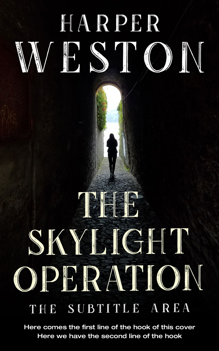 2D view of Cod Gray #23808 - Premade Mystery & Thriller & Suspense Book Cover