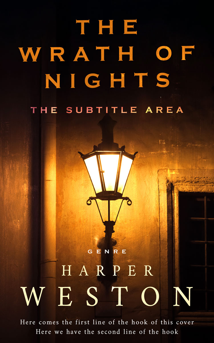 2D view of Premade Literary Fiction Book Cover - Brandy Punch