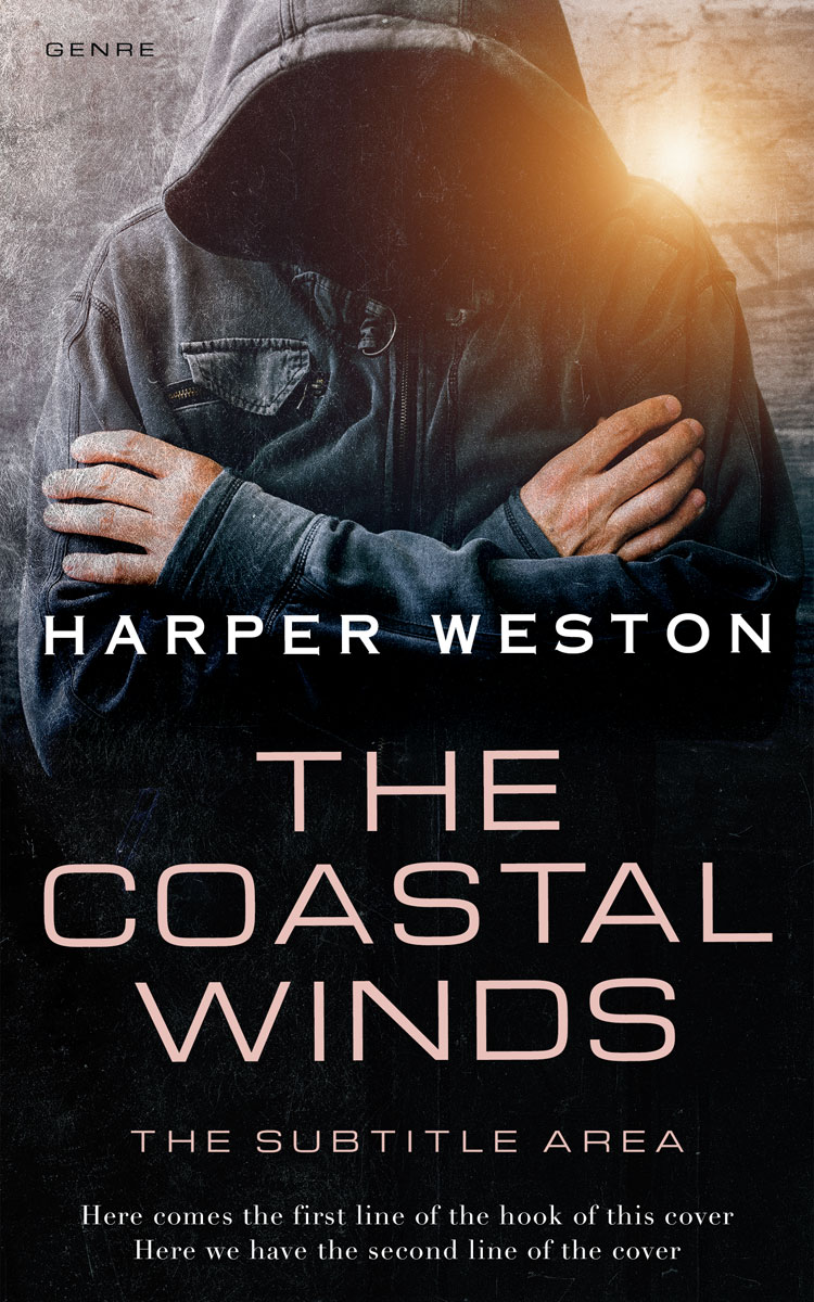 2D view of Premade Mystery & Thriller & Suspense Book Cover - Quicksand