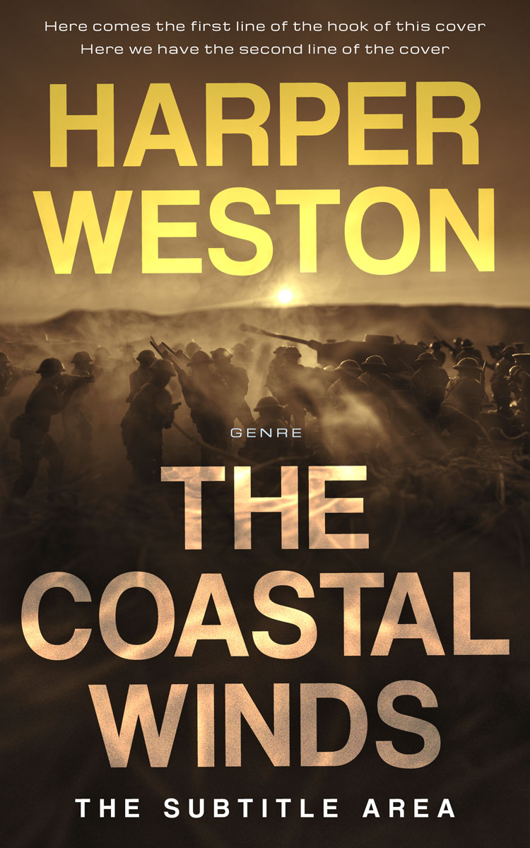 2D view of Bistre #24081 - Premade Historical Book Cover