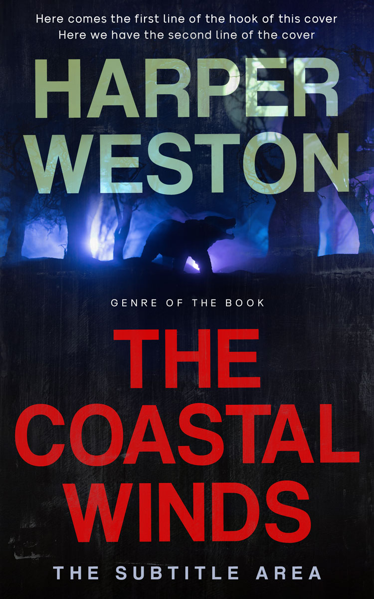 2D view of Matrix #24095 - Premade Fantasy Book Cover