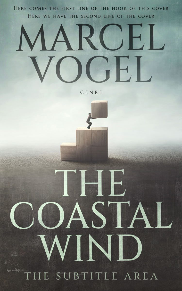 2D view of Nandor #24112 - Premade Business Book Cover