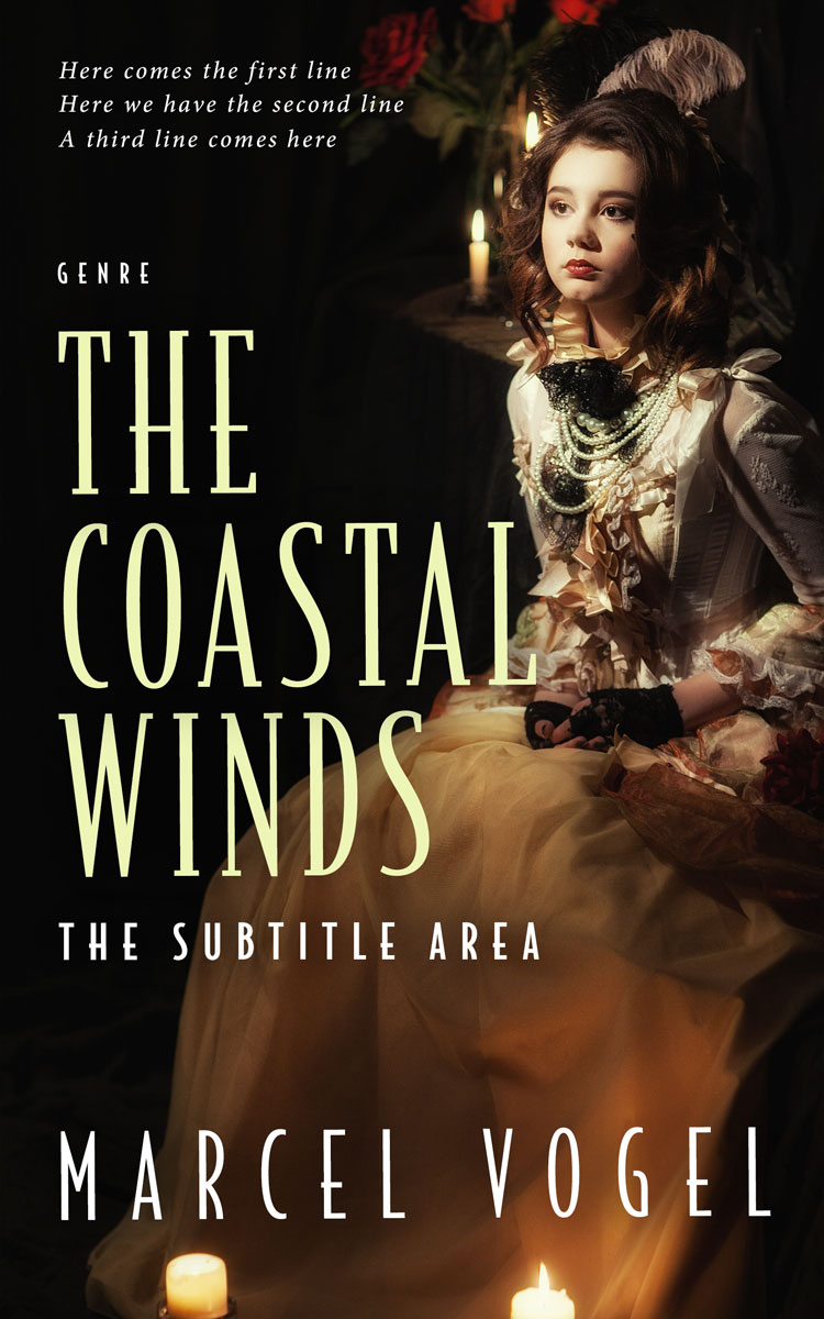 2D view of Sorrell Brown #24252 - Premade Historical Book Cover