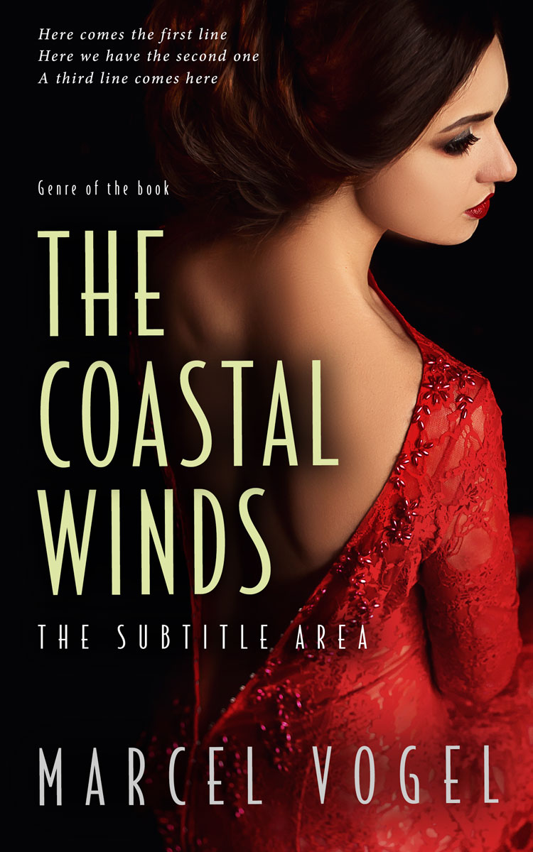 2D view of Premade Romance Book Cover - Asphalt