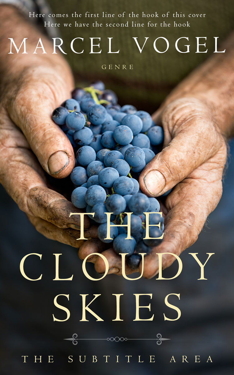 2D view of Cameo #24322 - Premade Literary Fiction Book Cover