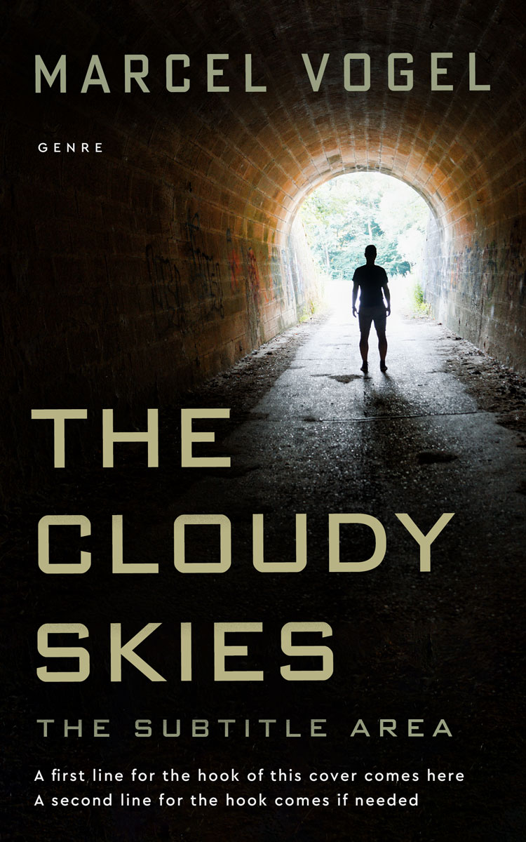 2D view of Premade Mystery & Thriller & Suspense Book Cover - Ash