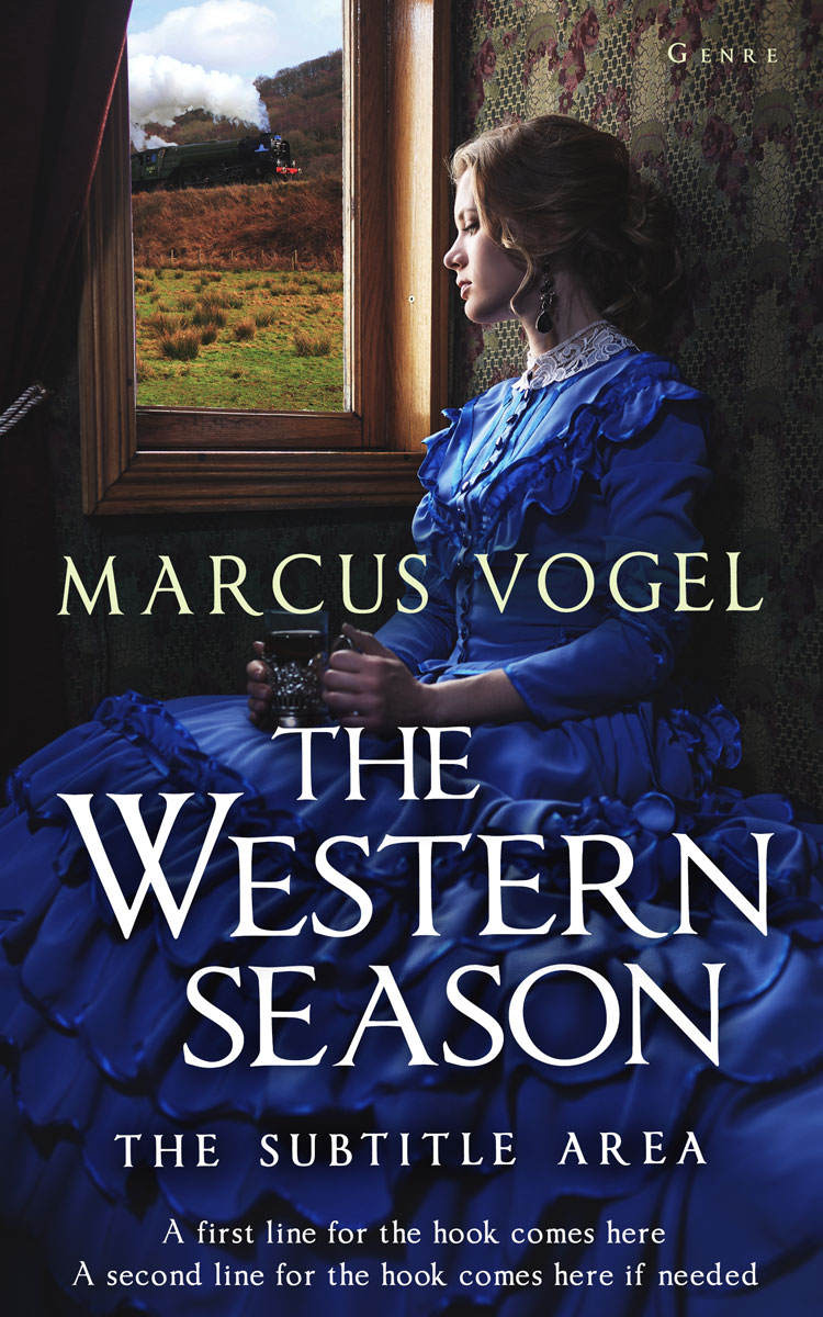 2D view of Premade Historical Book Cover - Steel Gray