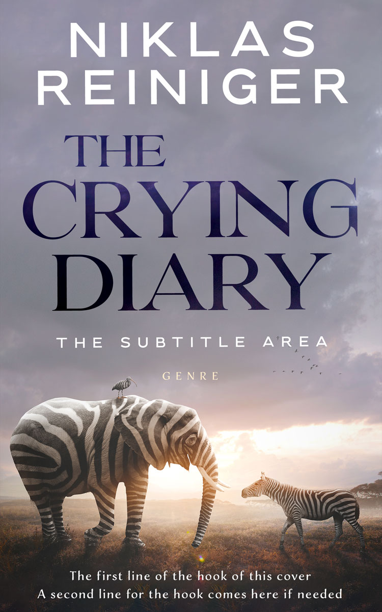 2D view of Mountain Mist #24745 - Premade Abstract Book Cover | BookCoverZone