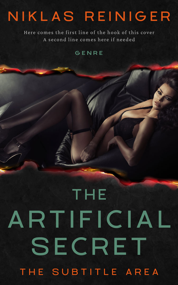 2D view of Cod Gray #24811 - Premade Erotica Book Cover