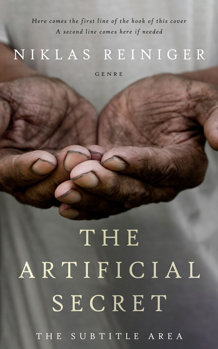 2D view of Flint #24834 - Premade Politics & Law & Society Book Cover