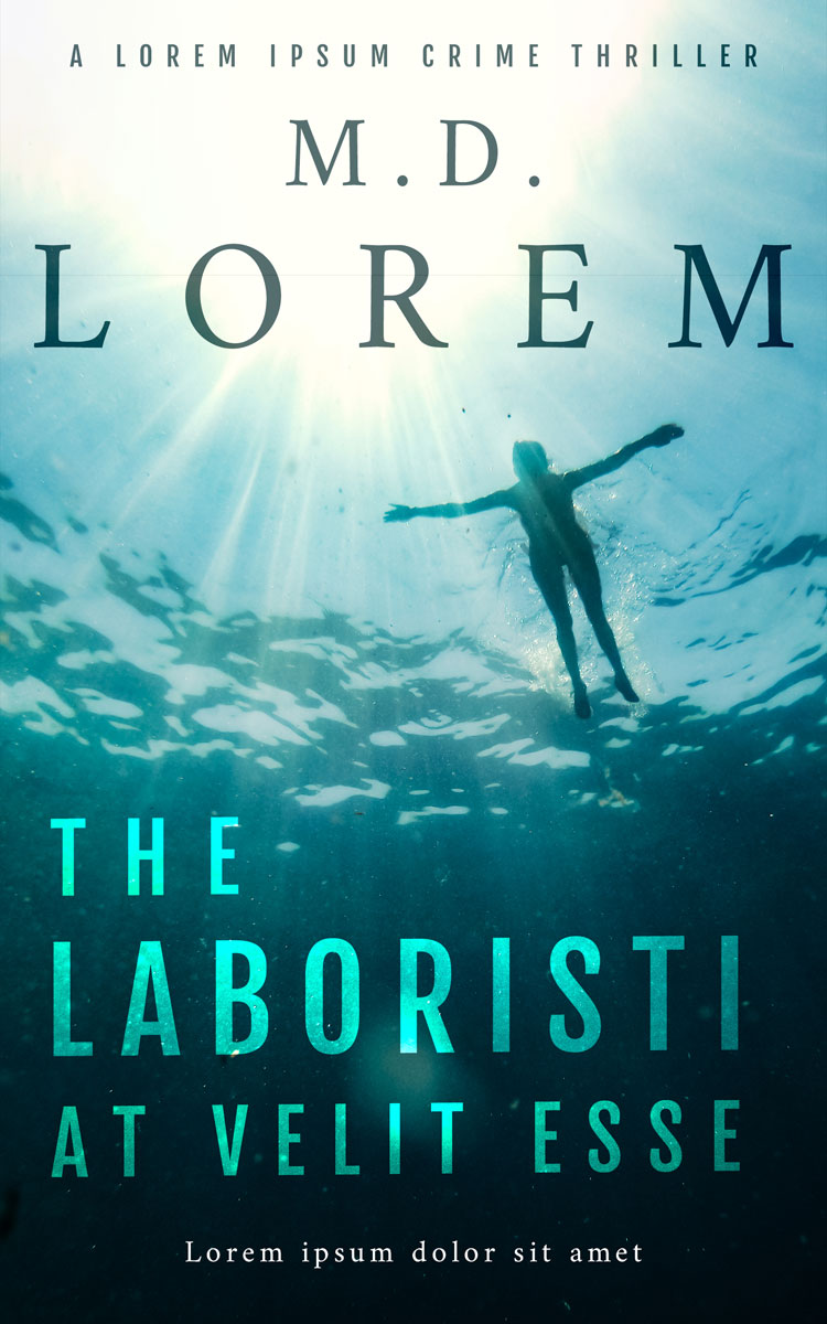 2D view of Harp #25064 - Premade Action & Adventure Book Cover