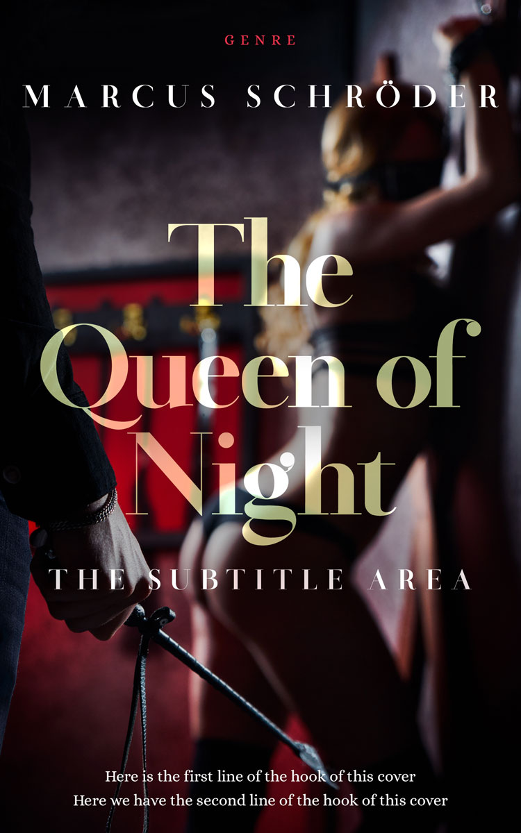 2D view of Gondola #25427 - Premade Erotica Book Cover