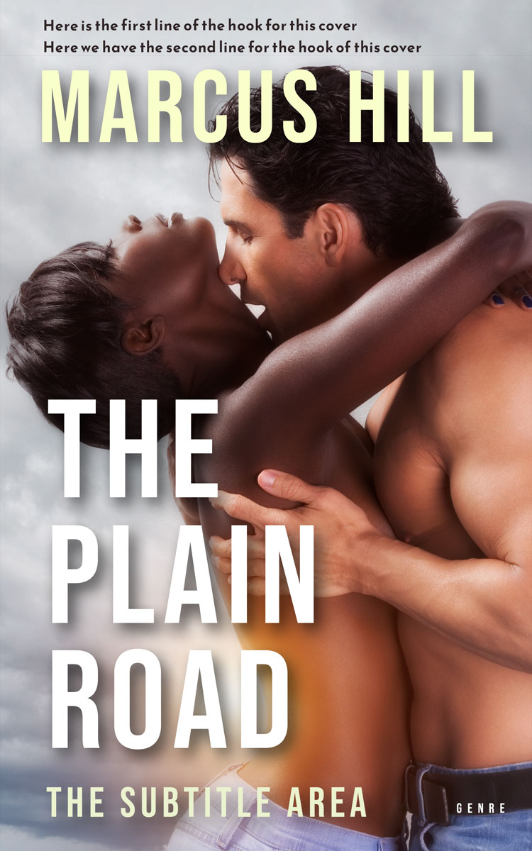 2D view of Silver Rust #25500 - Premade Erotica Book Cover