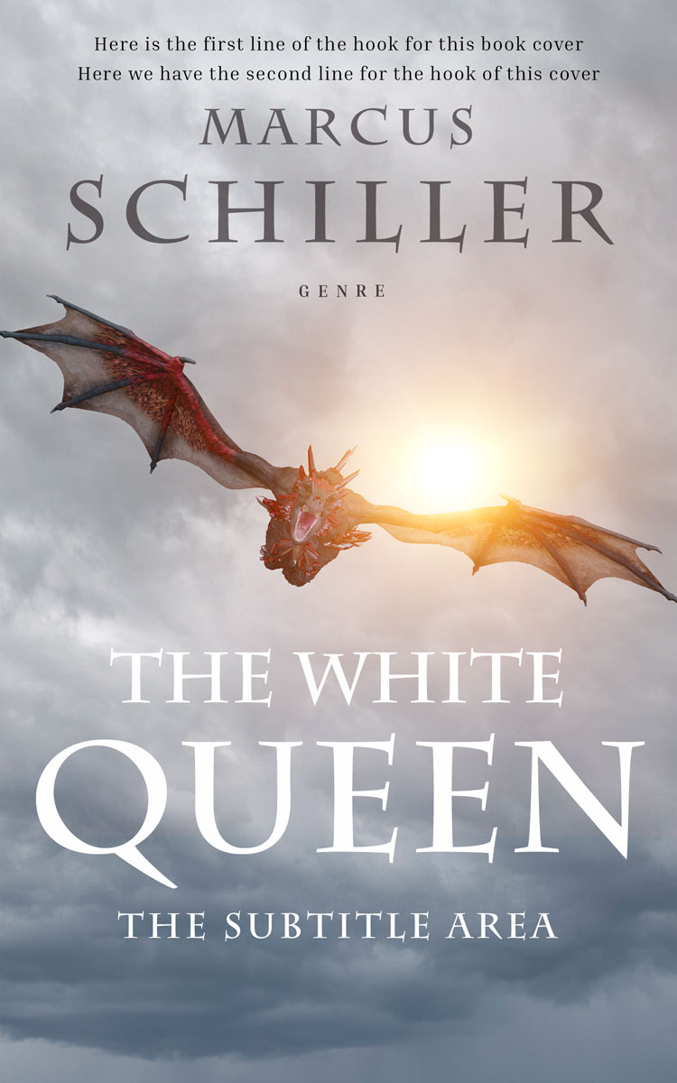 2D view of Silver #25738 - Premade Fantasy Book Cover