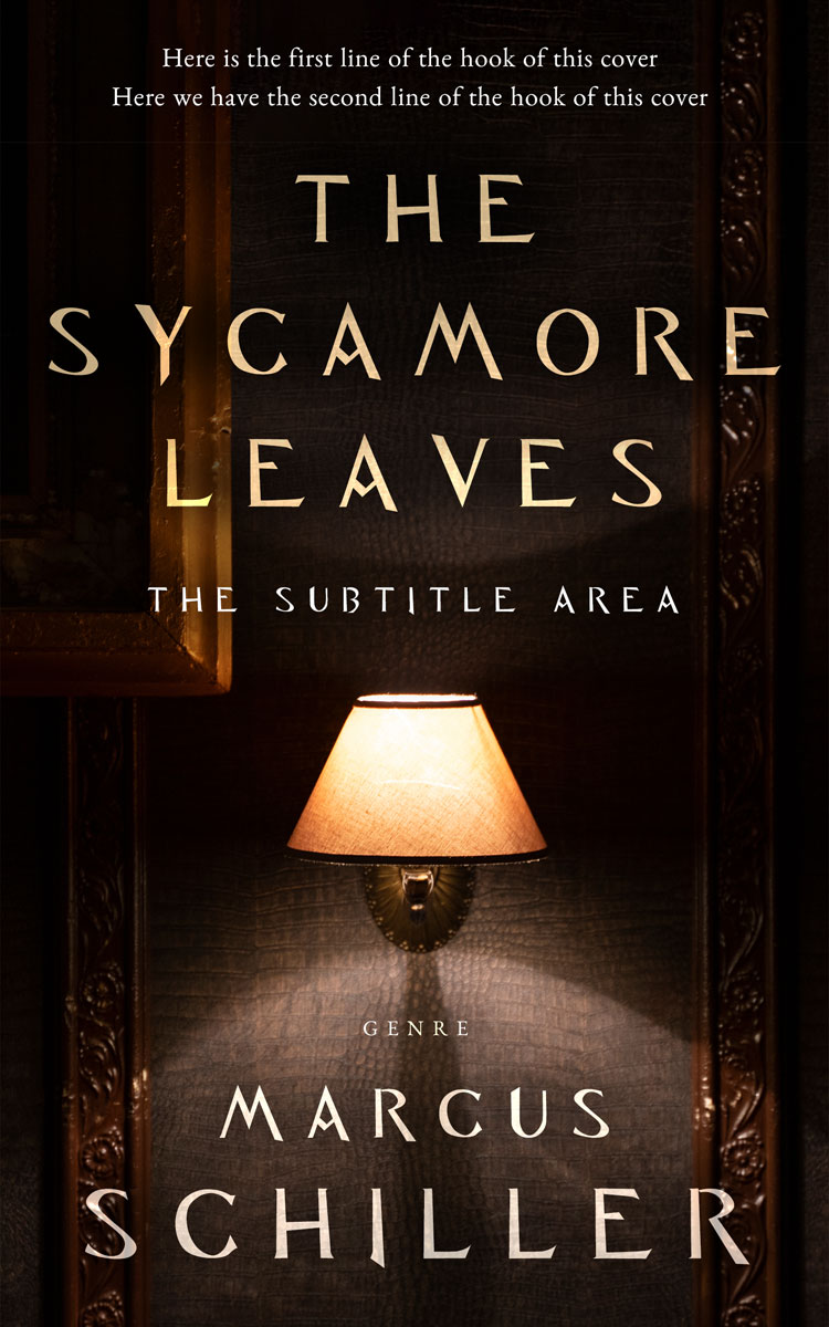 2D view of Asphalt #25825 - Premade Literary Fiction Book Cover