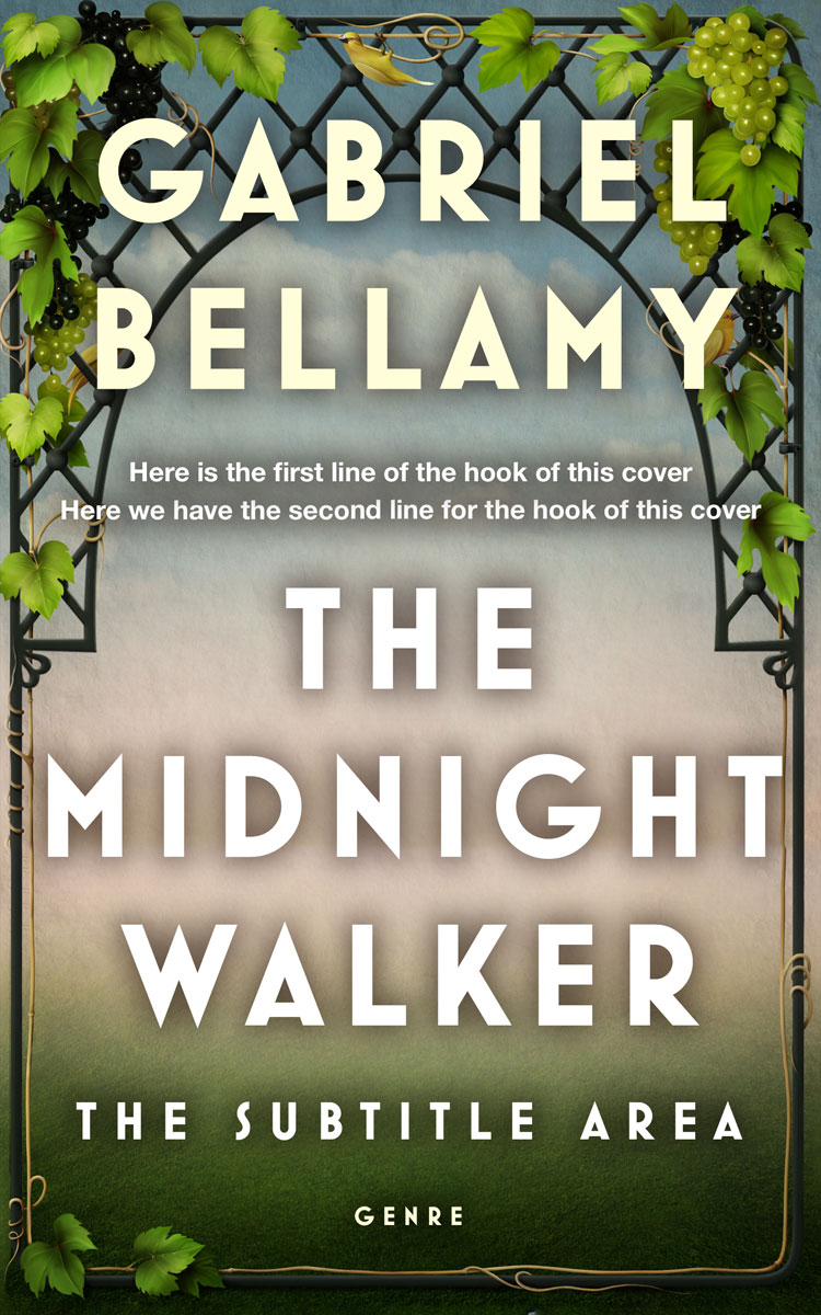 2D view of Napa #26036 - Premade Literary Fiction Book Cover