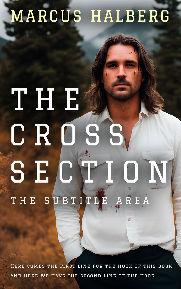 2D view of Birch #27008 - Premade Mystery & Thriller & Suspense Book Cover