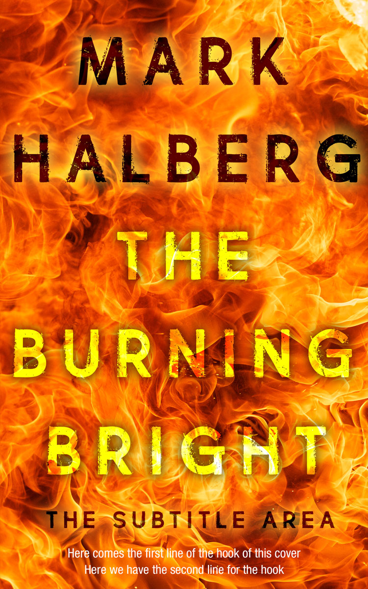 2D view of Christine #27293 - Premade Apocalyptica Book Cover