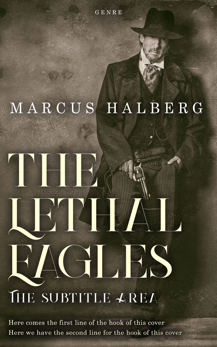 2D view of Birch #27351 - Premade Historical Book Cover