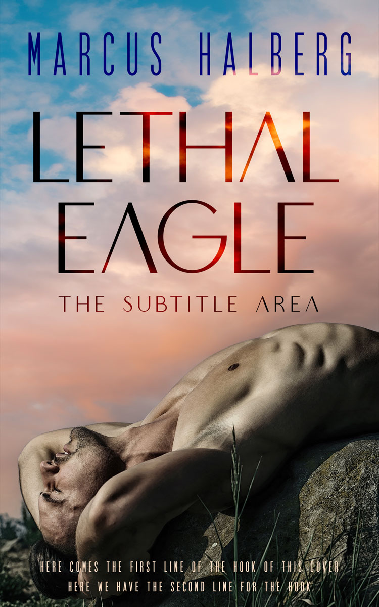 2D view of Rodeo Dust #27362 - Premade Erotica Book Cover