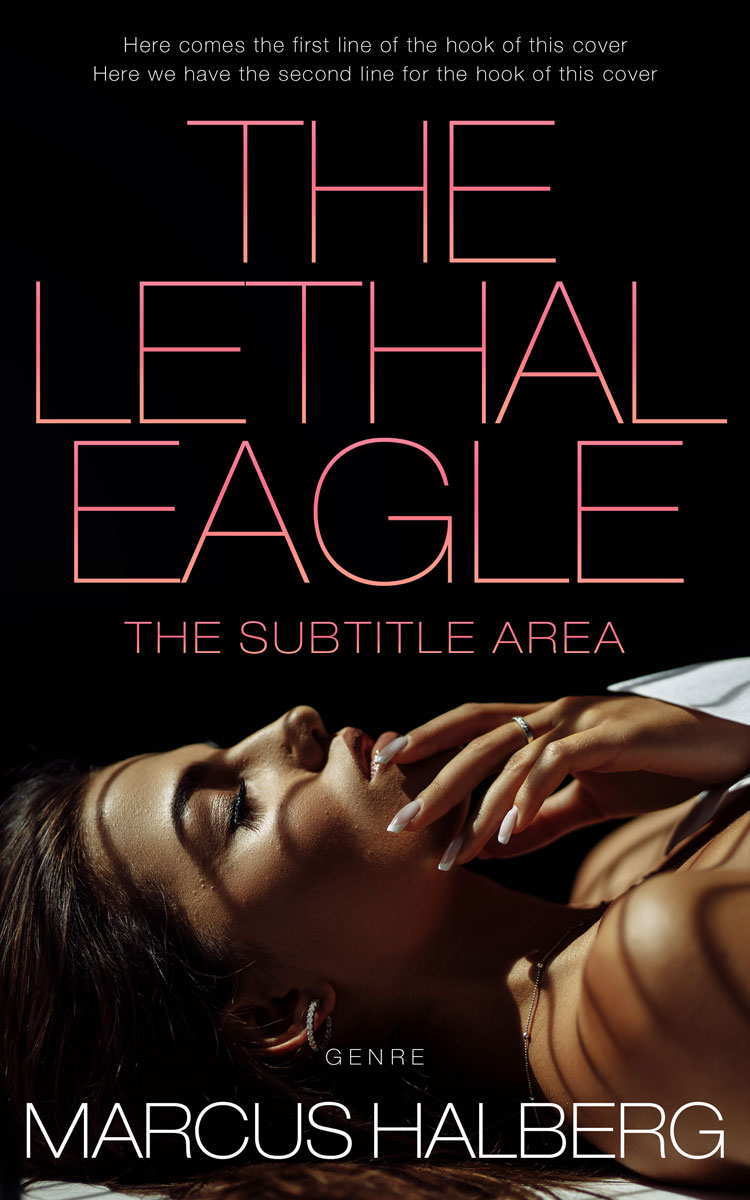 2D view of Night Rider #27370 - Premade Erotica Book Cover