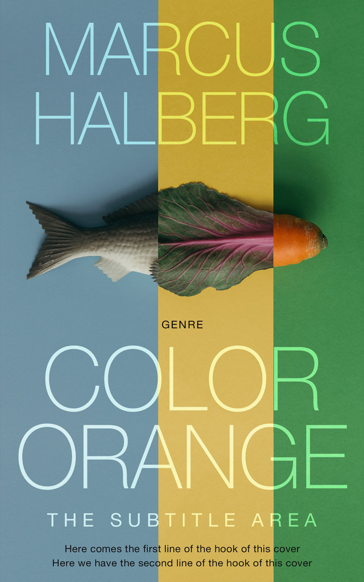 2D view of Juniper #27382 - Premade Health & Dieting & Fitness Book Cover