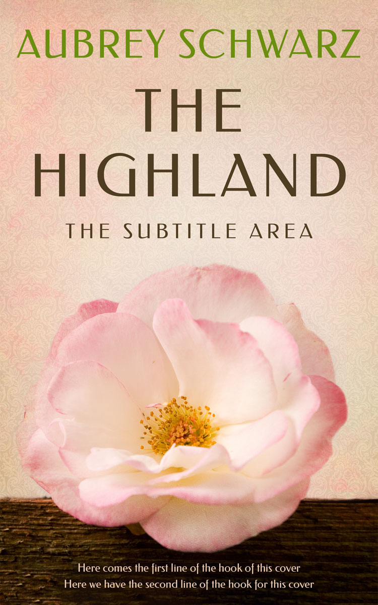 2D view of Just Right #27630 - Premade Abstract Book Cover