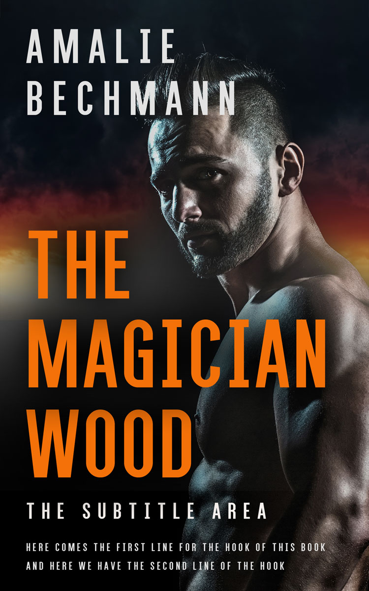 2D view of Di Serria #27948 - Premade Erotica Book Cover