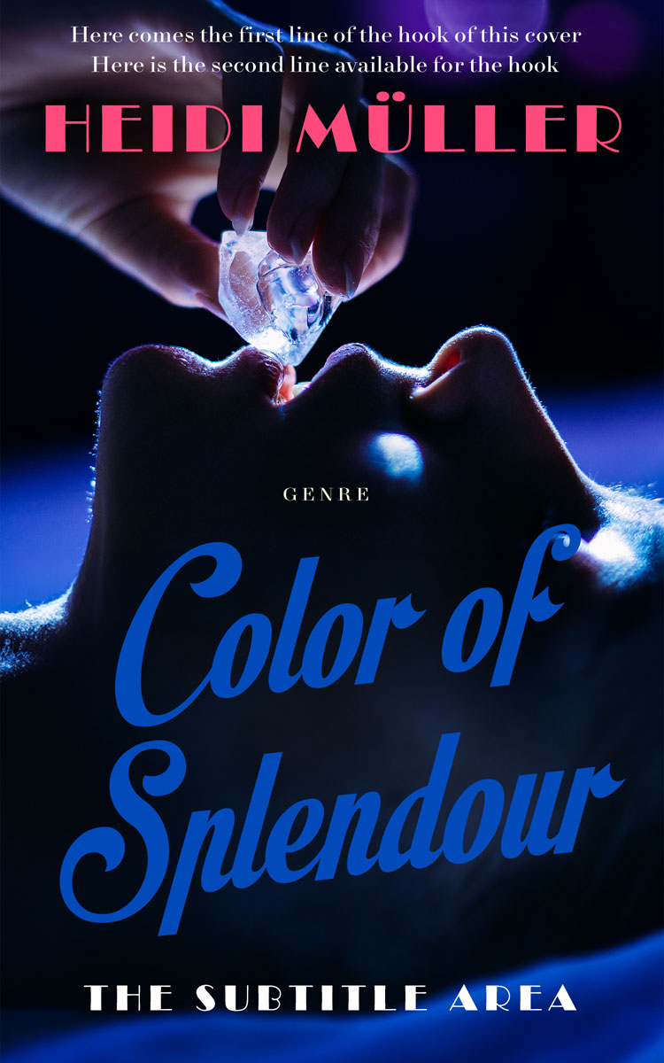 2D view of Ebony #28431 - Premade Erotica Book Cover