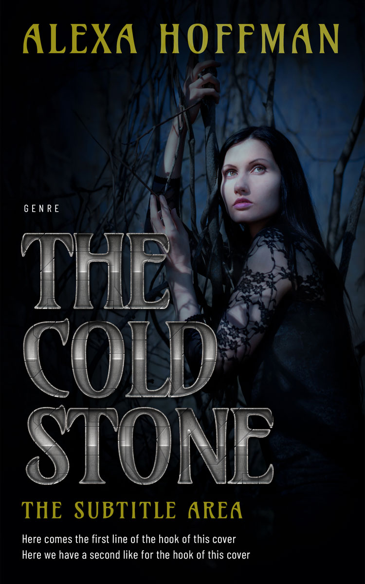 2D view of Premade Fantasy Book Cover - Bunker