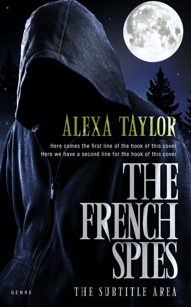 2D view of Powder Ash #29009 - Premade Mystery & Thriller & Suspense Book Cover