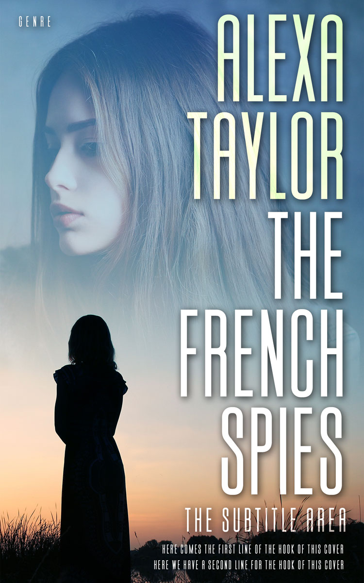 2D view of Premade Teen & Young Adult Book Cover - Regent Gray