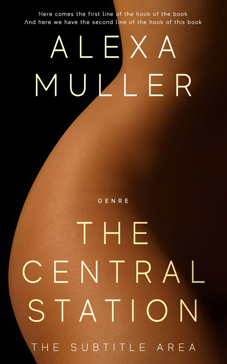 2D view of Premade Erotica Book Cover - Cannon Black