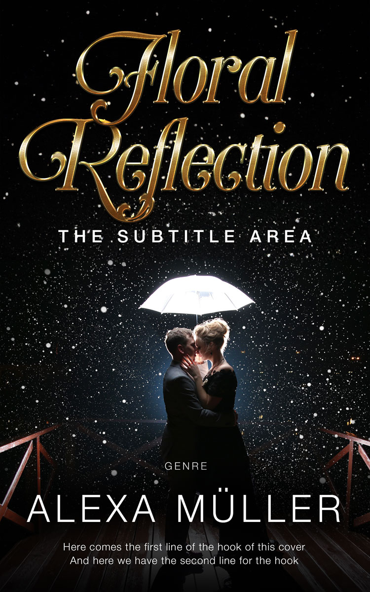 2D view of Cod Gray #29213 - Premade Romance Book Cover