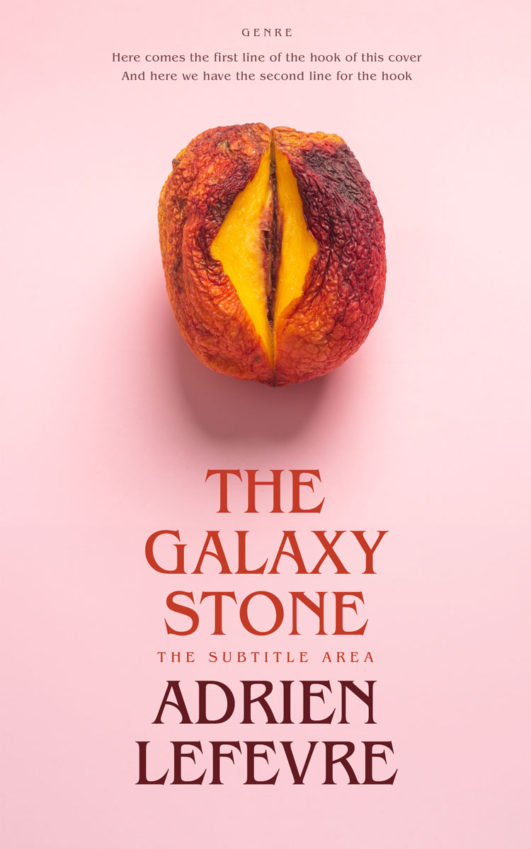 2D view of Cinderella #29280 - Premade Erotica Book Cover