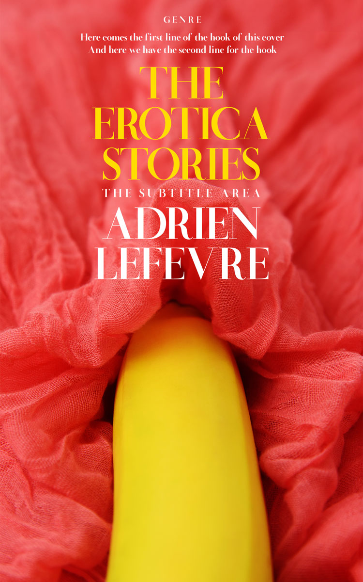 2D view of Valencia #29283 - Premade Erotica Book Cover