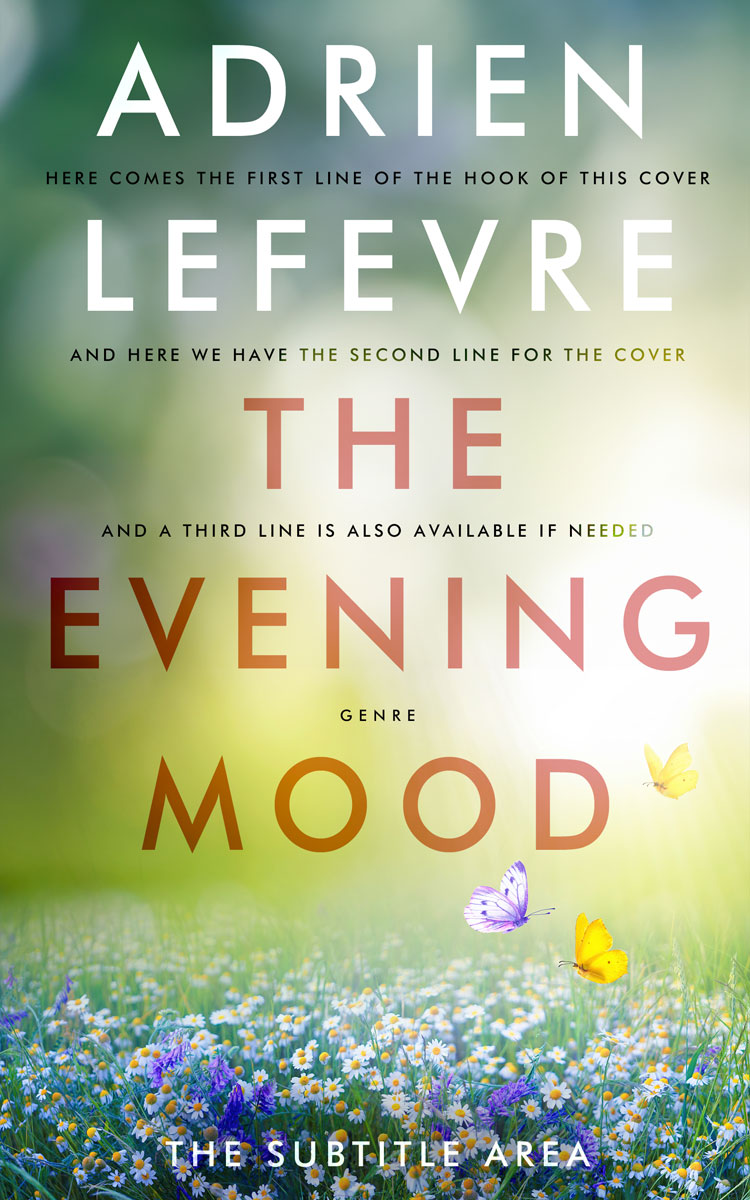 2D view of Schist #29348 - Premade Nature Book Cover