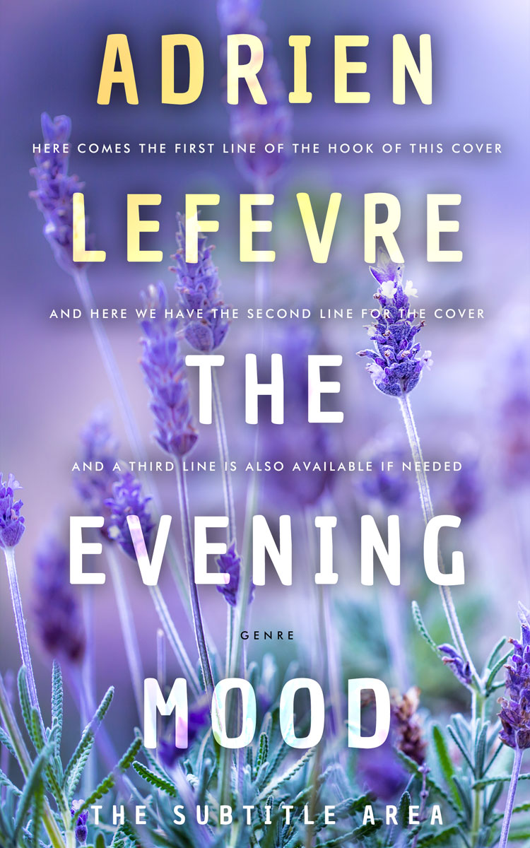 2D view of Wild Blue Yonder #29350 - Premade Nature Book Cover